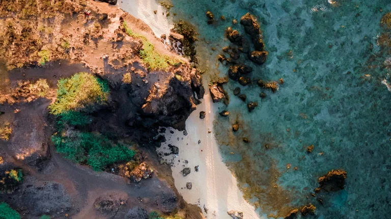 Noronha Selvagem: Refúgio Vital da Vida Marinha Brasileira