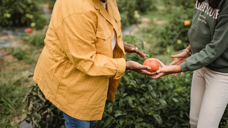 A Importância da Agricultura Familiar no Brasil