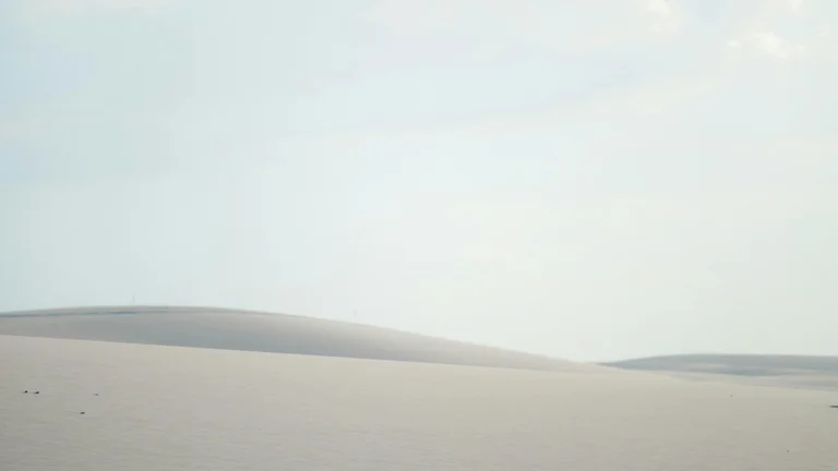 Namib Selvagem: Deserto Antigo e Luta pela Sobrevivência