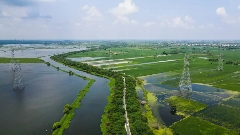 Como Drones Estão Transformando a Pecuária