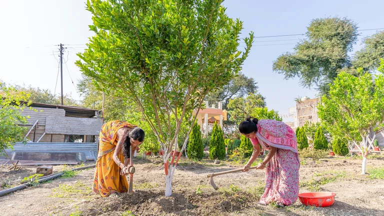 Biofertilizantes: A Solução Sustentável para o Campo