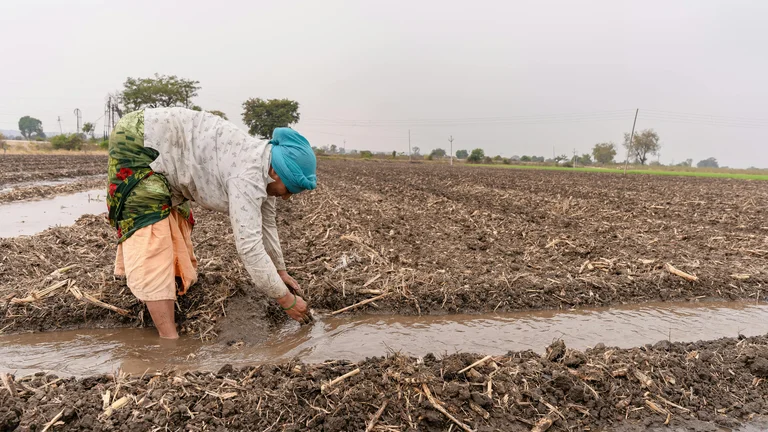Adapte a Agricultura à Escassez de Água com Eficácia