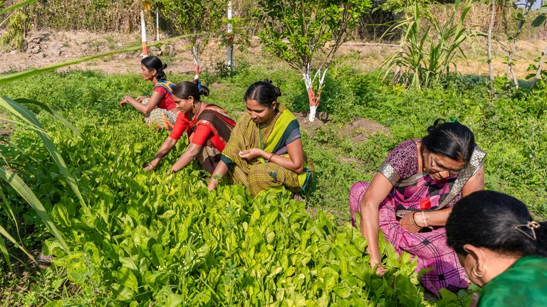 Práticas para Melhorar a Saúde do Solo e Sustentabilidade