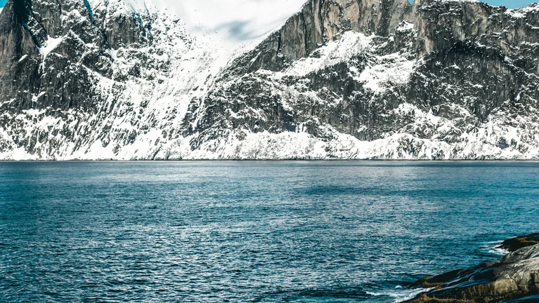 Patagônia Selvagem: Predadores e Paisagens Majestosas em Documentários