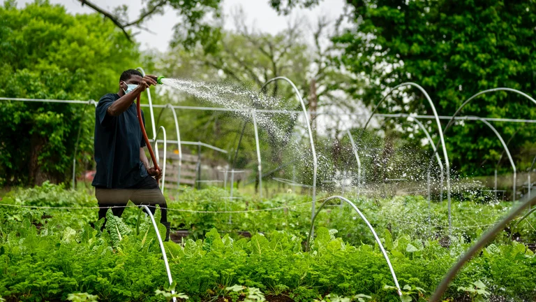 Sustentabilidade na Agricultura: Práticas Eficientes