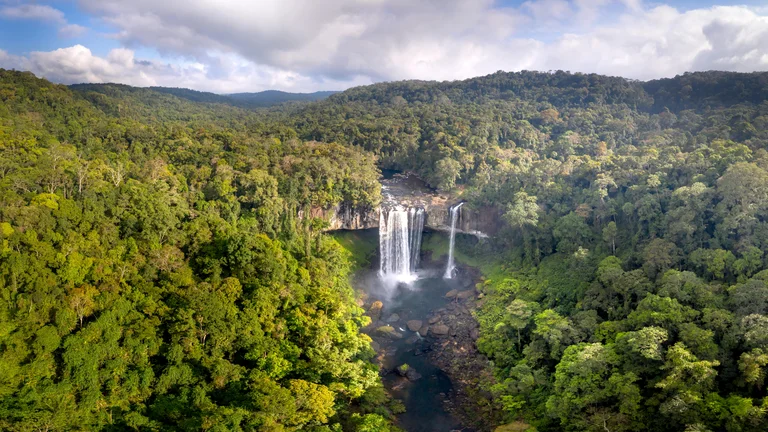 Serra do Mar: Desafios no Templo da Chuva e Vida Selvagem