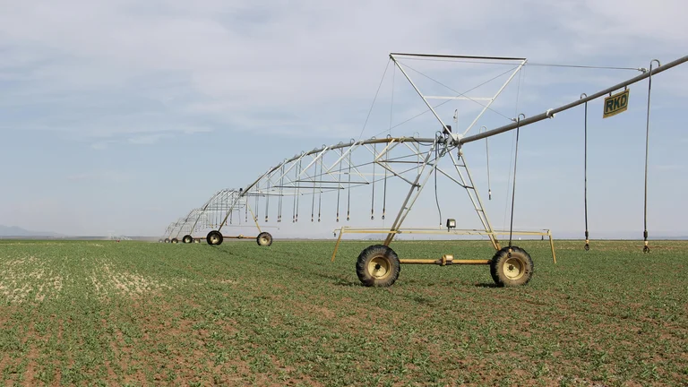 Desafios e Oportunidades na Agricultura Árida