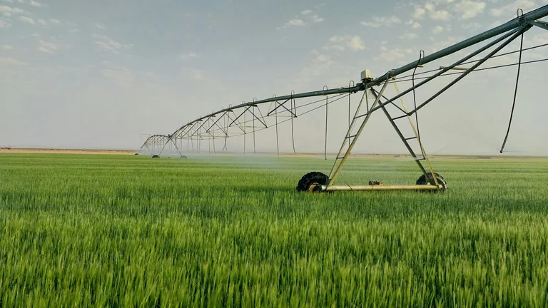 Irrigação Inteligente: Eficiência e Economia de Água na Agricultura