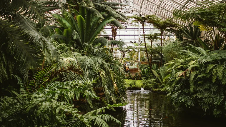 15 Edifícios com Ecossistemas Inteiros Dentro: Arquitetura Viva