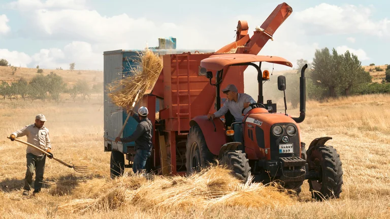 O Papel do Agronegócio na Segurança Alimentar Global