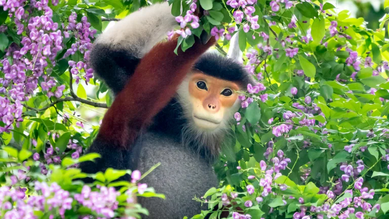 Guatemala: Paraíso Selvagem entre Vulcões e Florestas Tropicais