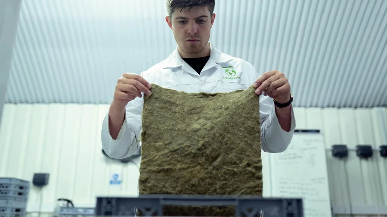 Biotecnologia no Agronegócio: Avanços e Controvérsias