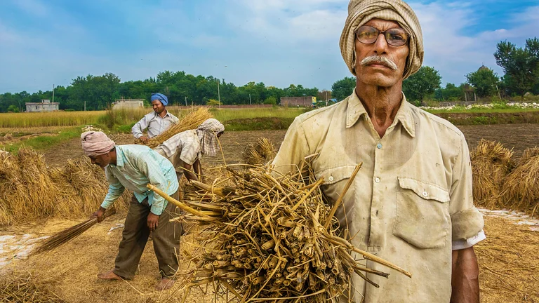Benefícios da Diversificação de Culturas no Campo