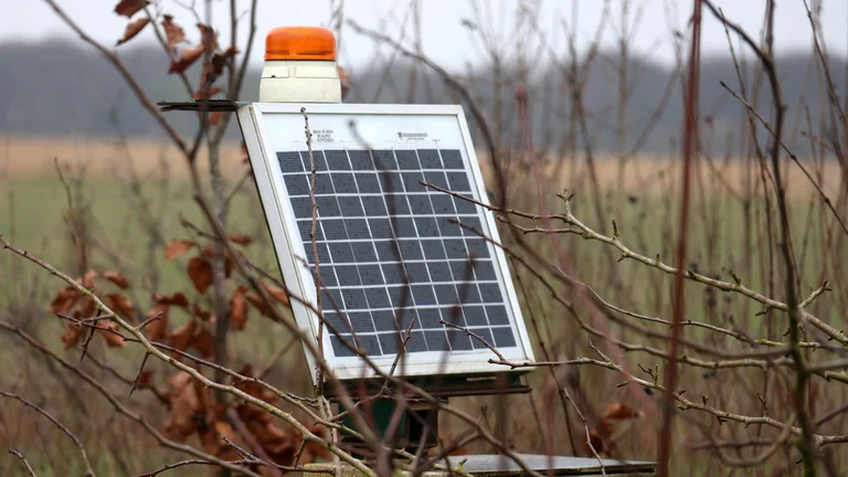 Como o Agronegócio Pode Reduzir Emissões de Carbono