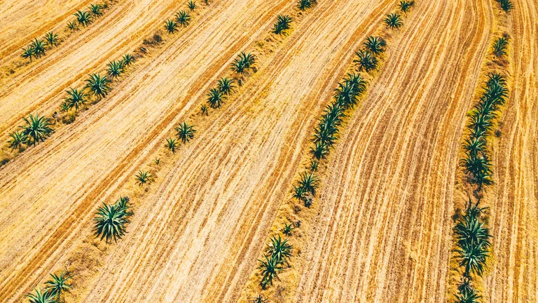 Agricultura de Precisão: Inovação e Tecnologia no Campo