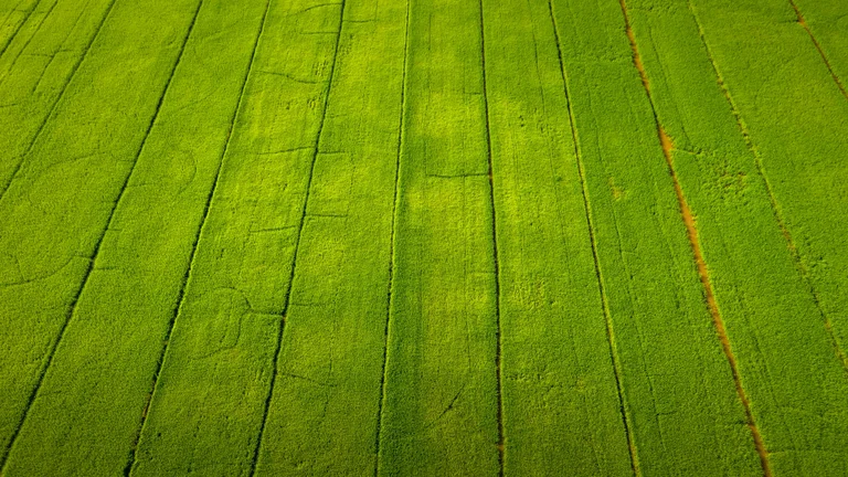 Como os Drones Estão Transformando a Agricultura Moderna