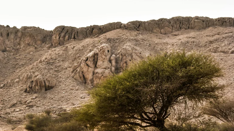 Deserto Implacável: Mestres da Sobrevivência e Vida Selvagem Extrema